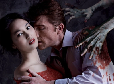Cô hầu gái (bản Việt Nam) (Cô hầu gái)